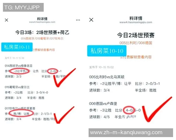 纽卡斯尔与布莱顿激战在即谁能在英超赛场上笑到最后